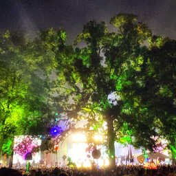 Nighttime festival scene with a large crowd gathered beneath towering trees illuminated in vivid green light. Bright stage lights glow through the branches, silhouetting the audience and creating a hazy, dreamlike atmosphere filled with colorful lights and decorations.