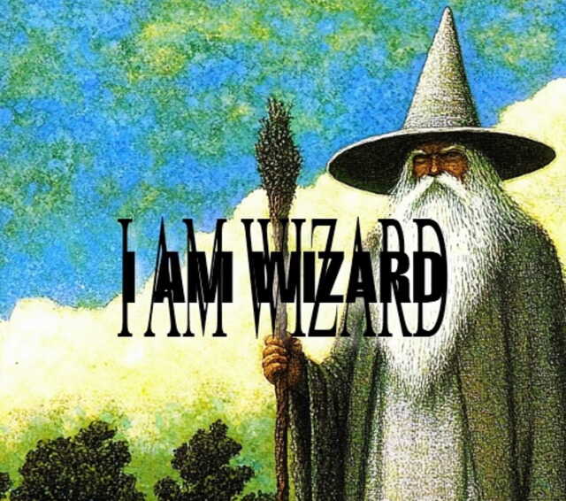 Classic fantasy wizard with the text “I AM WIZARD” across the image.
