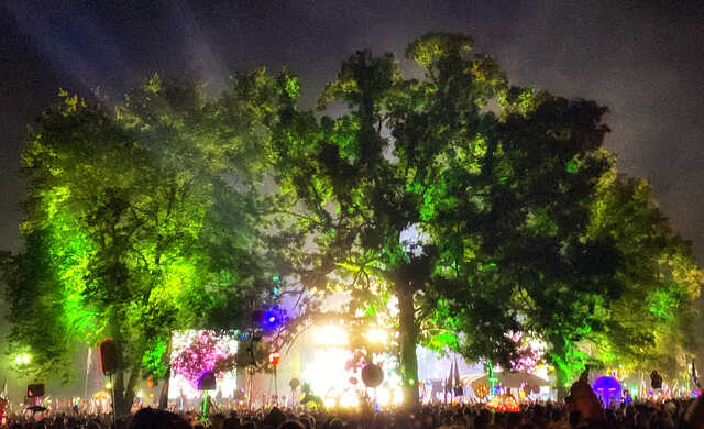 Nighttime festival scene with a large crowd gathered beneath towering trees illuminated in vivid green light. Bright stage lights glow through the branches, silhouetting the audience and creating a hazy, dreamlike atmosphere filled with colorful lights and decorations.